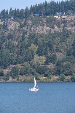 Deniz kıyısında küçük bir tekne.