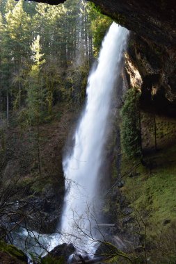 Sonbaharda ormandaki güzel şelale manzarası