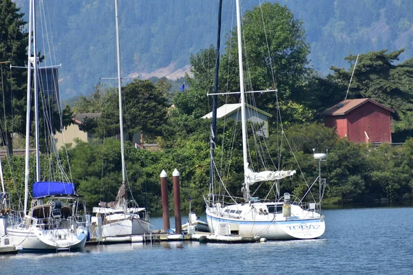 Segelboote Auf Dem See — Stockfoto