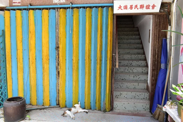 中国房子的立面 有楼梯和躺着的猫 — 图库照片