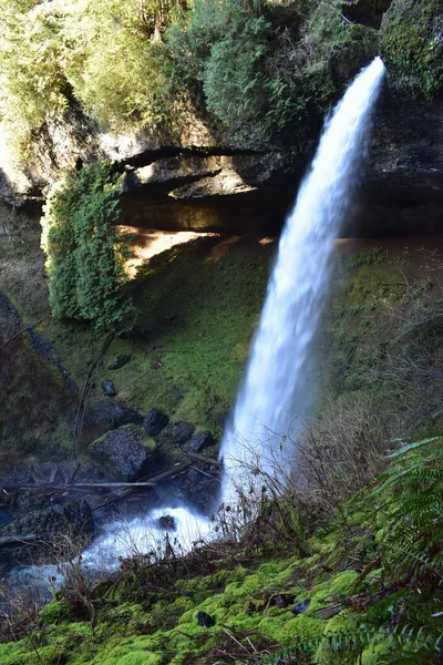Cenário Bela Cachoeira Floresta Durante Outono — Fotografia de Stock