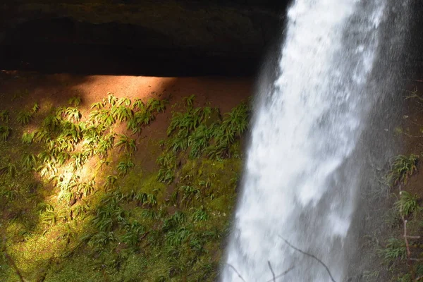 Landschap Van Prachtige Waterval Het Bos Tijdens Herfst — Stockfoto