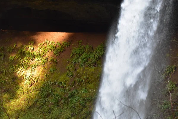 Paisaje Hermosa Cascada Bosque Durante Otoño — Foto de Stock