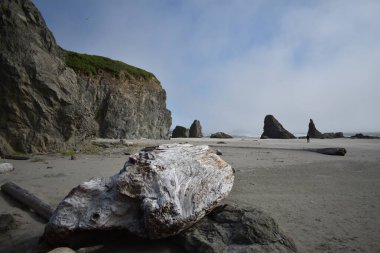 Deniz kıyısındaki dev kayaların manzarası
