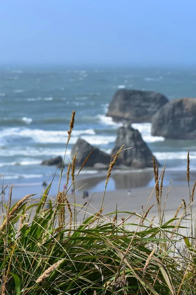 View Giant Rocks Seashore — Stock Photo, Image