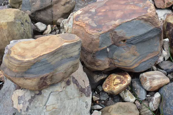 Farklı Boyutlardaki Taşlarla Kayalık Sahilin Ayrıntılı Görünümü — Stok fotoğraf