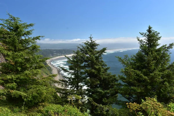 Vista Desde Colina Con Pinos Océano — Foto de Stock