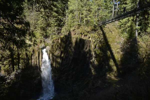 Schöner Wasserfall Wald Wilde Bergkulisse — Stockfoto