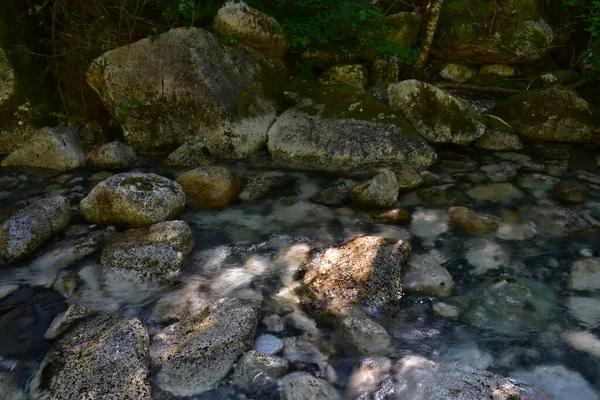 Krásná Řeka Kameny Lese — Stock fotografie