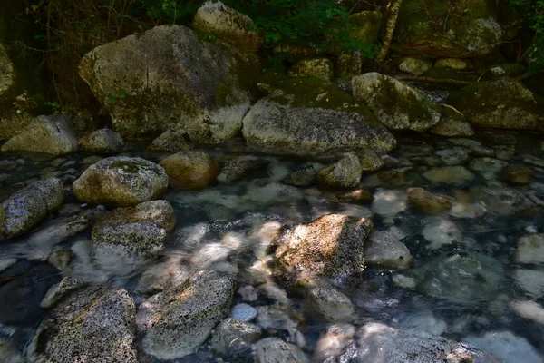 Belle Rivière Avec Des Rochers Dans Forêt — Photo