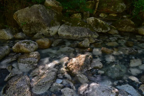 Vacker Utsikt Över Floden Skogen Med Träd — Stockfoto