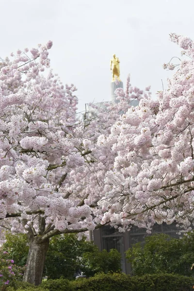 Красивий Вид Квітучі Весняні Дерева Золота Статуя Фоні — стокове фото