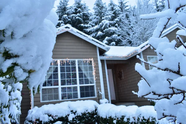 Pokryty Śniegiem Dom Lesie Sezon Zimowy Natura — Zdjęcie stockowe