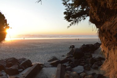 Denizin üzerindeki günbatımı gökyüzü ve şeftali, ağaç dalları ve kumlu sahildeki kayalar üzerindeki insanlar. 