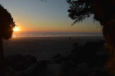 Denizin üzerindeki günbatımı gökyüzü ve şeftali, ağaç dalları ve kumlu sahildeki kayalar üzerindeki insanlar. 
