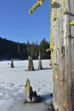 Kış manzarası karla kaplı topraklar, donmuş göl