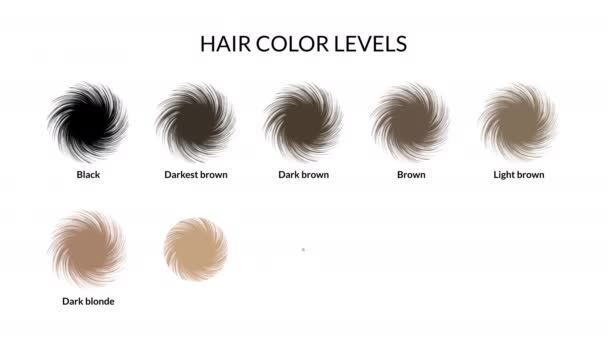 Livelli Colore Dei Capelli Animazione Risoluzione — Video Stock