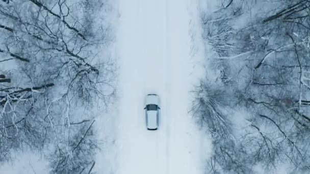 Aerial - Panoráma felvétel fehér autó vezetés egy festői úton keresztül havas erdő a háttérben — Stock videók