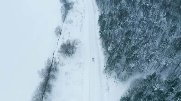 Aerial - Panorámás felvétel fehér autó vezetés egy festői úton keresztül havas fenyőerdő a háttérben. Lövés. — Stock videók