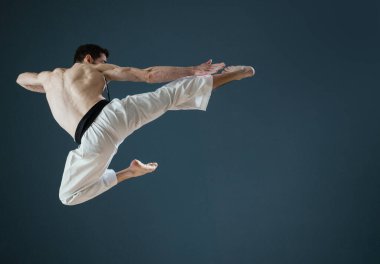 Bir Sensei Karateka eğitmeni mükemmel bir uçuş tekmesi atar.