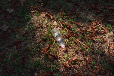 Ormandaki plastik şişe çöpleri, çevresel hasar kavramı.