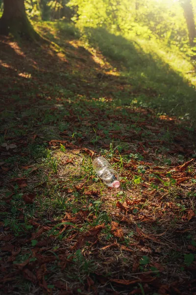 Poubelle Bouteille Plastique Dans Forêt Concept Dommages Environnementaux — Photo