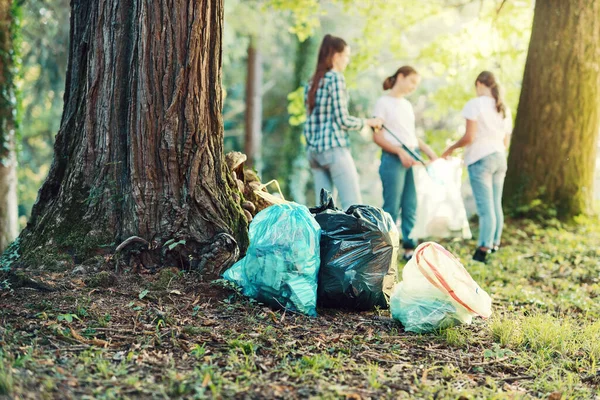 Jóvenes Voluntarios Limpiando Bosque Están Poniendo Basura Bolsas Basura Concepto — Foto de Stock