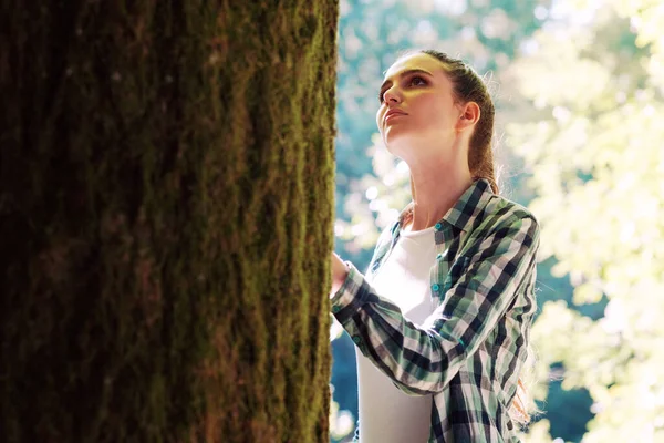 Молодая Заботливая Женщина Прикасается Дереву Лесу Концепция Охраны Окружающей Среды — стоковое фото