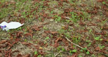 Temizlik gönüllüleri ormanı temizliyor.