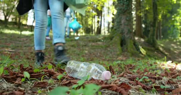 Lidé uklízejí les a sbírají odpadky — Stock video