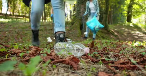 La gente pulisce la foresta e raccoglie spazzatura — Video Stock