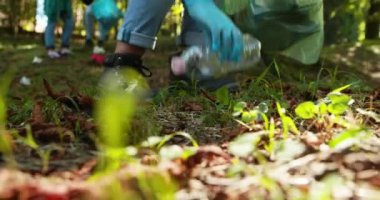 İnsanlar ormanı temizliyor ve çöp topluyor.