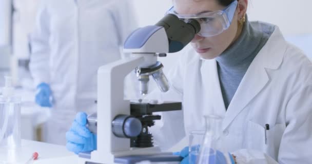 Ricercatori che lavorano insieme nel laboratorio clinico — Video Stock