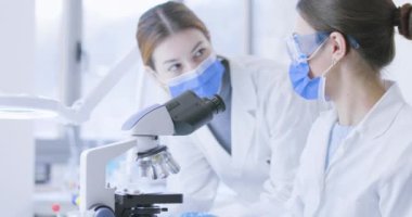Laboratuvarda genç araştırmacılar konuşuyor.