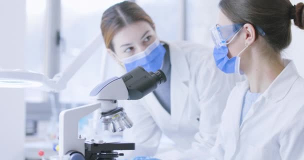 Jóvenes investigadores hablando en el laboratorio — Vídeos de Stock