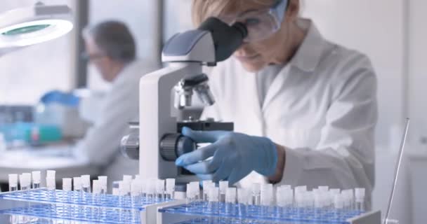 Seorang peneliti memeriksa sampel biologis di bawah mikroskop. — Stok Video