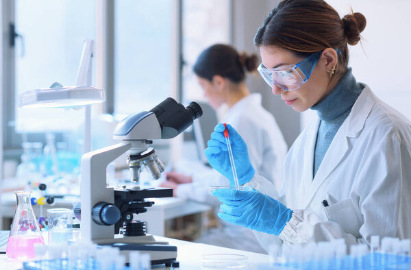 Young female student in the research lab, she is examining a sample in a petri dish and using the microscope