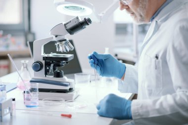 Professional scientist working in the laboratory, medical research concept