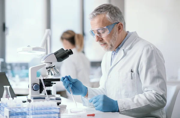 Professional Scientist Working Laboratory Medical Research Concept — Fotografia de Stock