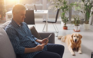 Dog lying down at home, his owner is sitting on the couch watching the tablet and ignoring him