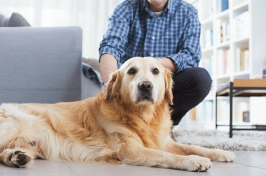 Man relaxing at home and cuddling his dog in the living room