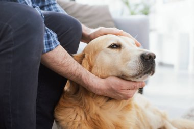Man relaxing at home and cuddling his dog in the living room