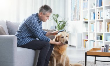 Man taking care of his dog at home, he is brushing his fur