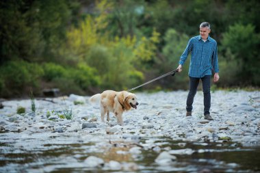Man and dog walking together in nature, healthy lifestyle and pet care concept