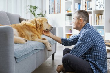 Pet owner spending time with his dog at home in the living room
