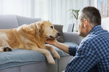 Pet owner spending time with his dog at home in the living room
