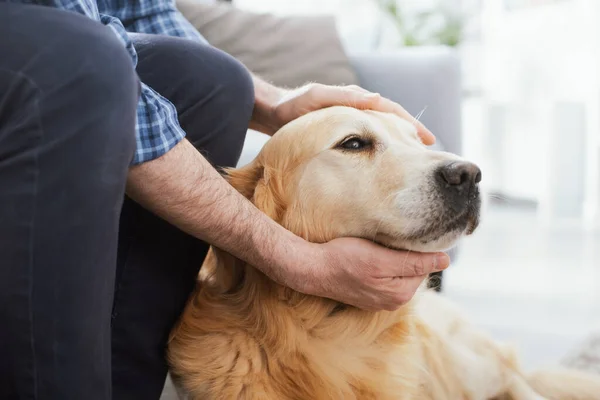 Man Relaxing Home Cuddling His Dog Living Room — Stok fotoğraf