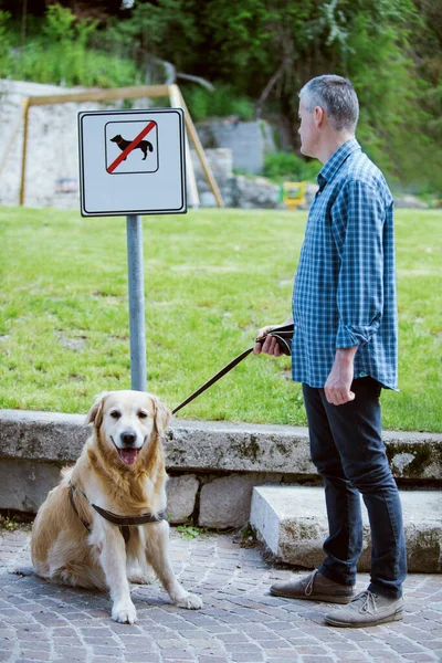 Dod Sitting Dogs Allowed Sign Park Pet Owner Checking Sign — Stok fotoğraf