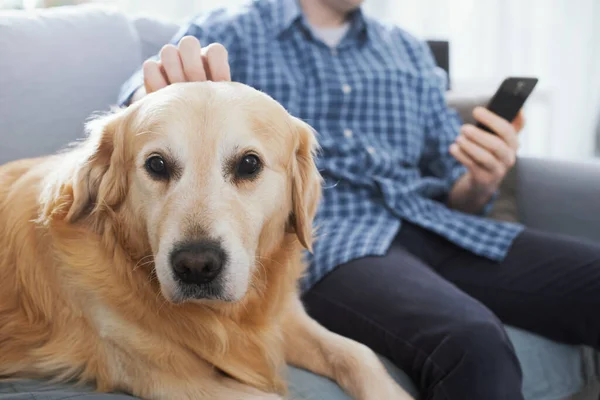 Man Sitting Couch Home Chatting His Smartphone Cuddling His Dog — Stockfoto