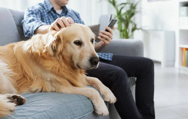 Man Sitting Couch Home Chatting His Smartphone Cuddling His Dog — Stockfoto